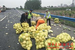 湖州吃瓜群众商品,揭秘网红商品背后的故事