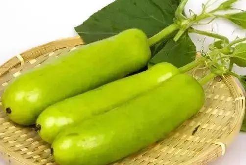 吃的老葫芦瓜,探寻传统与创新的完美融合