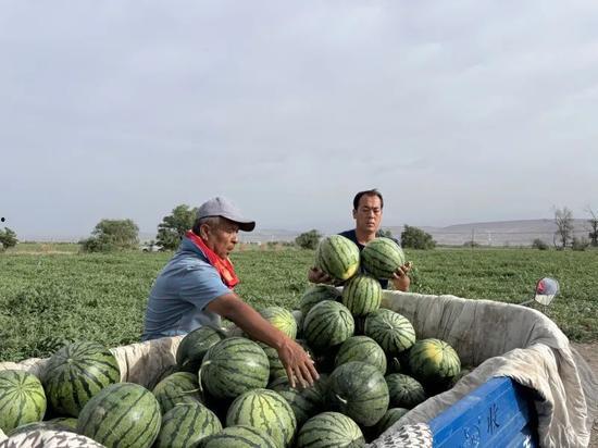 湖心亭吃瓜,揭秘网红打卡地的幕后故事