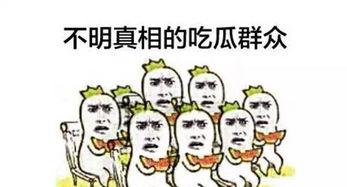 吃瓜太嗨了,揭秘娱乐圈幕后故事