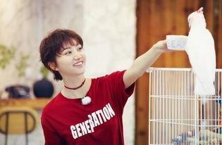 金婧吃瓜捧场,娱乐界新风尚