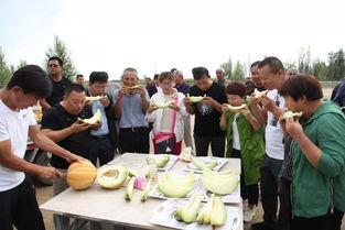 婴儿吃老汉瓜,婴儿营养新选择，健康成长好伙伴