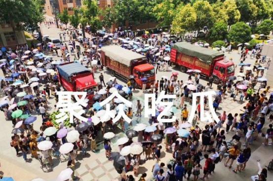 郑州吃瓜学院,揭秘城市美食背后的故事与传奇