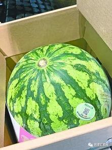 专吃瓜的人,一场场娱乐圈风云背后的真相