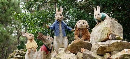 火兔数藏吃瓜,揭秘吃瓜背后的数字艺术魅力