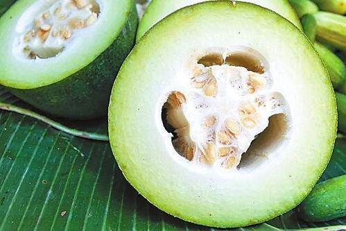 朝庭吃瓜系统,揭秘宫廷中的八卦风云