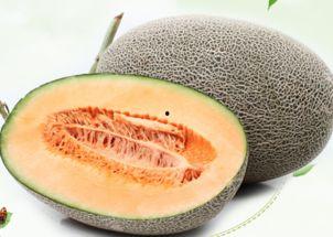 郴州新鲜哈密瓜怎么吃,郴州新鲜哈密瓜的多样食法探索