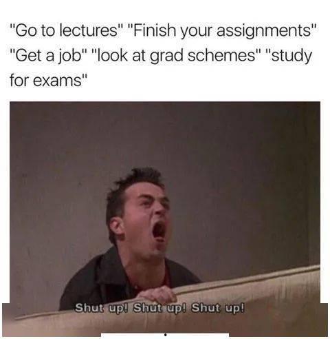 瓜队吃瓜实录,一场场精彩纷呈的瓜界盛宴