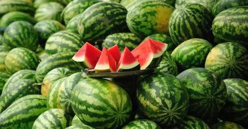 立秋吃瓜是只吃西瓜吗,揭秘立秋吃瓜的多样选择