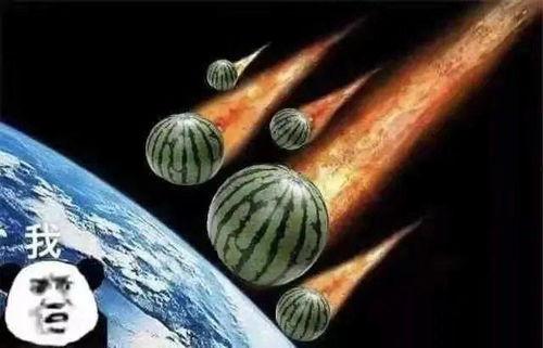 瓜地里吃瓜文案,一场别开生面的吃瓜文案大赏