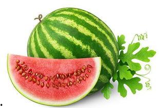 西瓜的瓜怎么吃