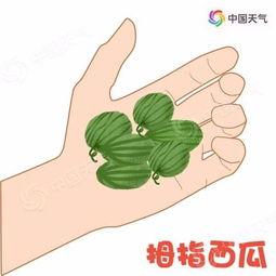 吃瓜不萌,网络热词背后的文化现象