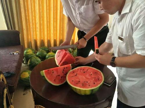 吃瓜精彩回顾,精彩回顾，笑料连连