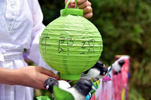 苏州相城区吃瓜,瓜果飘香，品味夏日田园风情