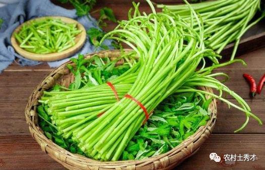 梦见蒿瓜怎么吃,探寻梦境中的美食奥秘