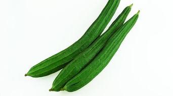 班上吃瓜女,班上吃瓜女生的欢乐时光