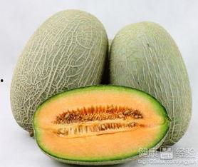 迪迦吃哈密瓜,哈密瓜大餐的奇幻之旅